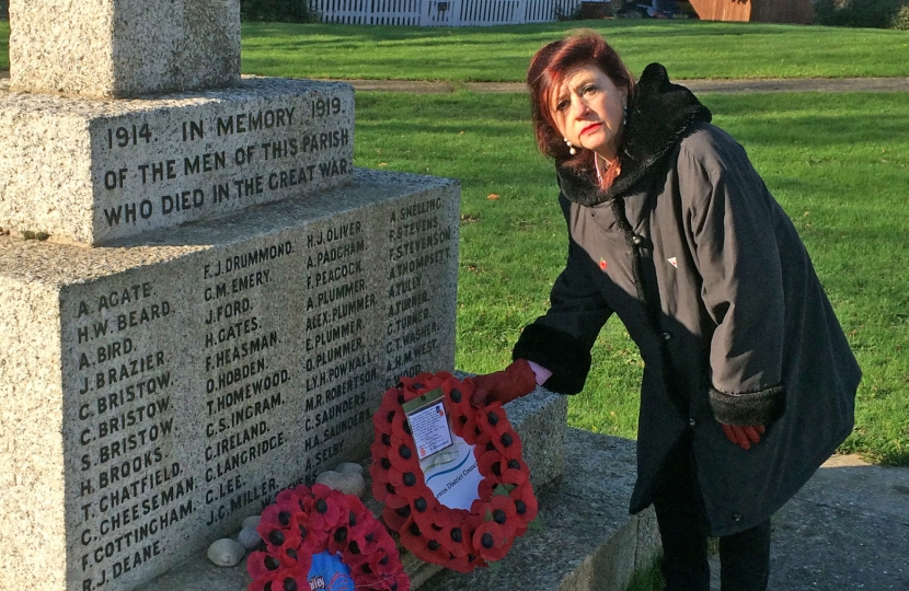   Council's Armed Forces Champion remembers the fallen despite services cancelled